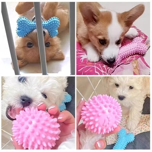 Set de jouets à mâcher pour chiens avec os et balle à picots rose et bleu pour petits chiots