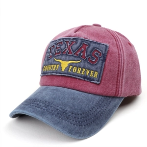 Vintage washed color block baseball cap with Texas embroidery and cow skull patch