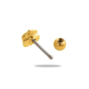 Detailed view of a golden four-leaf clover zircon stud with silver screw back ball end