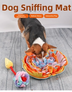 Detail of colorful pet foraging mat with Corgi dog during intelligence training