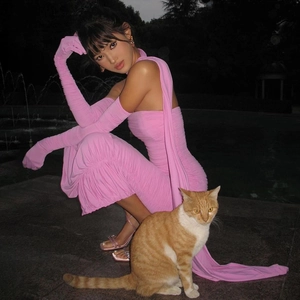 Robe rose dos nu sans manches avec gants assortis dans un cadre de parc nocturne élégant