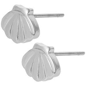 Macro view of shell-shaped 304 stainless steel stud earrings with polished silver finish