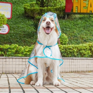 Transparent waterproof pet raincoat with blue trim details worn by a dog in a park