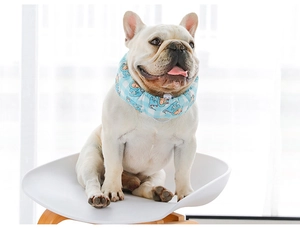 Blue plaid pet cooling collar with dinosaur print worn by a dog on a white chair
