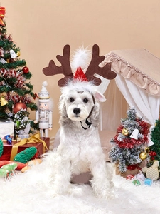 Dog wearing Christmas reindeer antler headband with mini Santa hat and plush white trim