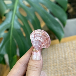 Macro detail of iridescent pink seashell hair clip with pearlescent striped texture