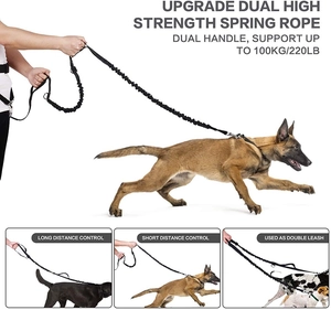 Detail showing high-strength bungee leash with dual handles for large dogs up to 100kg