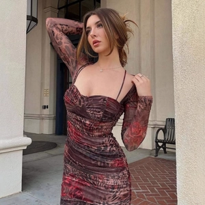 Robe Courte En Mesh Froncé Imprimé Léopard Rose Manches Longues Moulante Sexy Pour Femmes