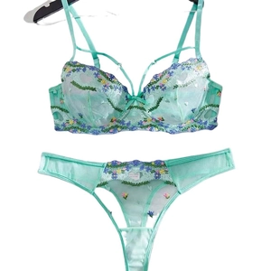 Mint green mesh lingerie set with colorful floral embroidery and steel wire support