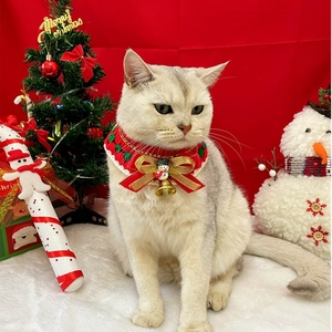 Gros plan d'un collier de Noël festif pour animaux avec nœud rouge et clochette