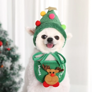 Detail of dog Christmas tree hat and reindeer bib on a small white puppy