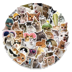 Detailed cluster of funny cat stickers with diverse expressions for laptops and water bottles