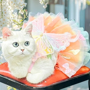Pink and blue gradient pet princess dress with butterfly wings and tiered mesh skirt
