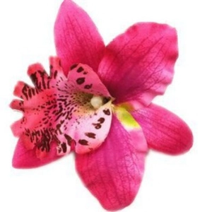 Vibrant rose red orchid hair clip for Hawaiian bohemian beach vacations and photography