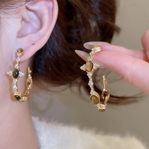 Macro detail of golden starburst earrings with brown tiger eye stone and crystals