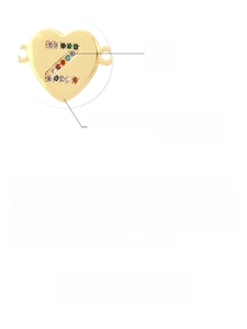 Detailed macro view of 18K gold plated copper heart pendant with colorful Z zircon stones