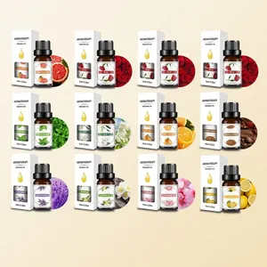 Water Soluble Fragrance Essential Oil Fresh Aroma For Humidifier Diffuser Long Lasting Home Scents Plant Extracts