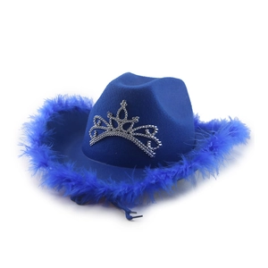 Macro view of blue cowboy hat with sequined silver crown and fluffy feather trim