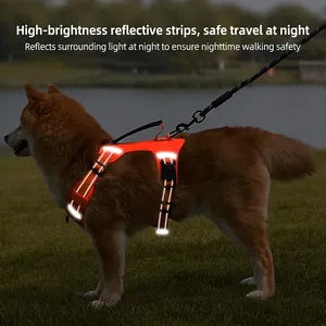 Orange dog harness with reflective strips and top handle on grass during nighttime