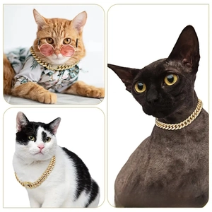 Close-up of three cats wearing iced-out golden Cuban link collars with shiny rhinestones
