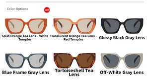 Detailed grid view of stylish polygon sunglasses in six assorted frame and lens colors