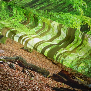 Close-up of high-definition forest landscape print on thick textile wall tapestry