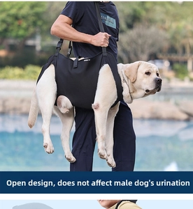 Detail showing supportive dog lifting harness for senior large breeds with adjustable straps