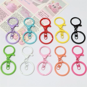 Colorful Baking Paint Zinc Alloy Keychain With Lobster Clasp Swivel Snap Hook Flat Ring For DIY Jewelry Making Craft