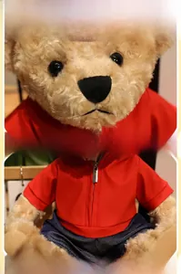 Detailed view of plush teddy bear with realistic acrylic eyes and red zipper jacket