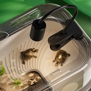 Turtle tank starter kit with basking platform, heat lamp, and decorative sand landscape