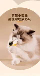Ragdoll cat playing with a plush bee teaser wand attachment on a minimal background