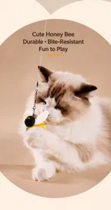 Gato Ragdoll jugando con un accesorio de abeja de peluche para varita interactiva