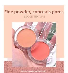 Detailed macro view of the smooth matte texture of peach and coral blush powder