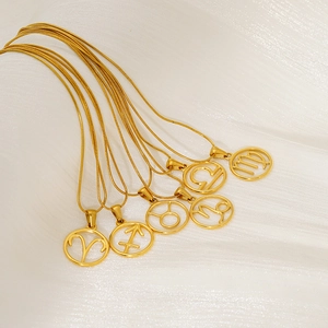 Gold stainless steel 12 zodiac constellation pendant necklaces on white silk fabric