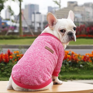 Close-up of pink knitted pet hoodie with brown classic leather patch on a French Bulldog
