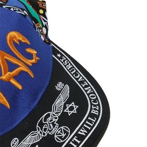 Detail of embroidered skull pattern and curse text on black baseball cap brim