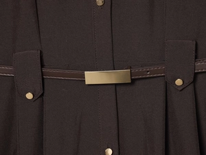Close-up of a brown shirt dress featuring a gold buckle belt and metallic buttons