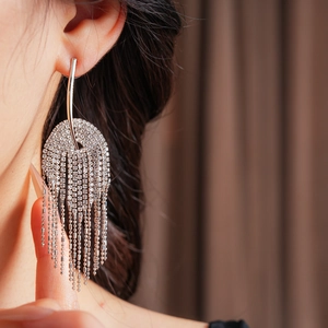 Vue détaillée d'une boucle d'oreille à pampilles en argent ornée de strass brillants
