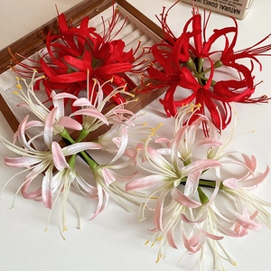 Macro view of red Lycoris hair clips with detailed petals and long stamen on white surface