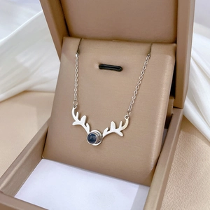 Macro detail of silver deer antler pendant with dark gemstone in a brown gift box