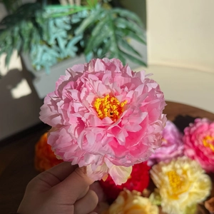 Handheld view of multi-color artificial peony hair clips with layered silk petals