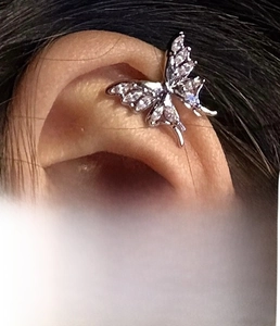 Detail of titanium steel butterfly zircon screw back earrings in gold and silver