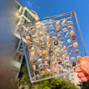 Detailed macro of transparent acrylic specimen display box with secure magnetic closure