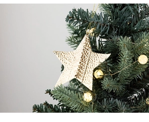 Gros plan d'une étoile dorée suspendue à une branche de sapin de Noël vert