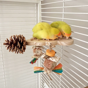 Natural wood parrot perch with pine cones and colorful raffia grass for bird chewing fun