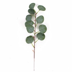 Close-up of artificial eucalyptus stem with grey-green leaves and detailed natural veins
