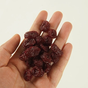 Realistic artificial dried cranberry model toy for food props and display