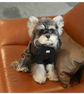 Detail van een kleine hond met zwart T-shirt en gewassen denim overall op een bruine bank