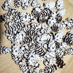 White sprayed pine cones ornaments for Christmas tree decor on a rustic burlap background