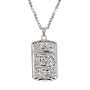 Silver stainless steel necklace with embossed skull and snake pendant on white background